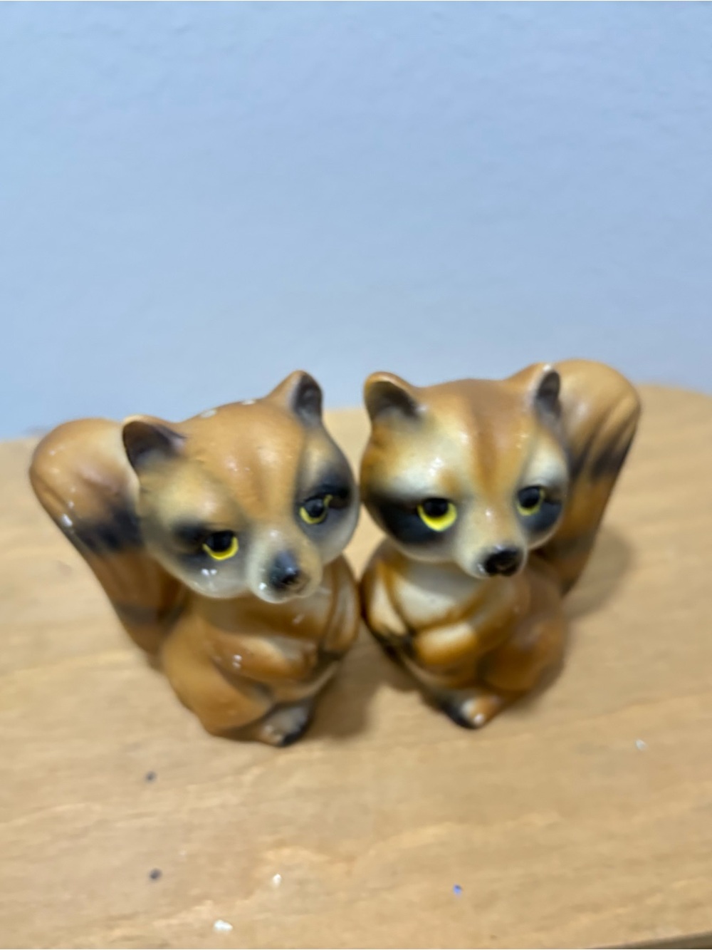 Kitschy Vintage Raccoon Salt & Pepper Shakers